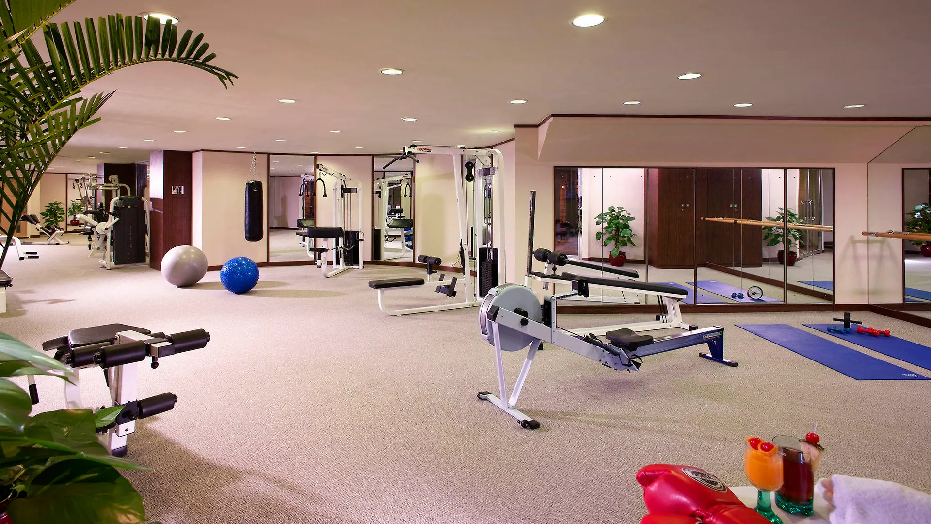 Harbour Plaza Metropolis Hotel Hong Kong
